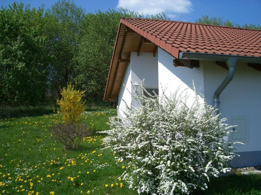 Detached Single-Storey Bungalow With Terrace Villa Uslar Exterior foto